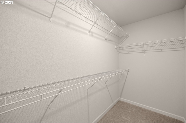 spacious closet with light carpet