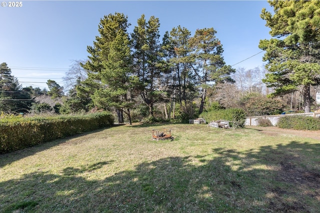 view of yard featuring a fire pit