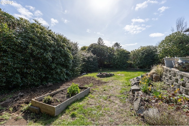 view of yard featuring a garden