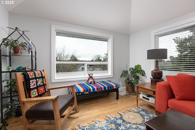 living area featuring wood finished floors and vaulted ceiling