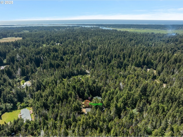 aerial view with a forest view