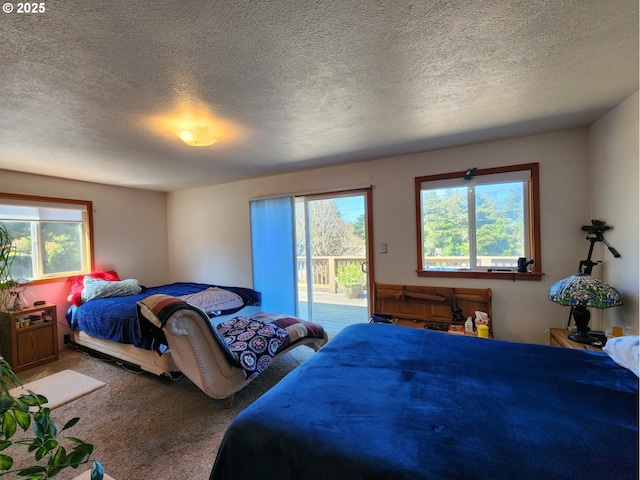 bedroom featuring multiple windows, carpet flooring, a textured ceiling, and access to exterior