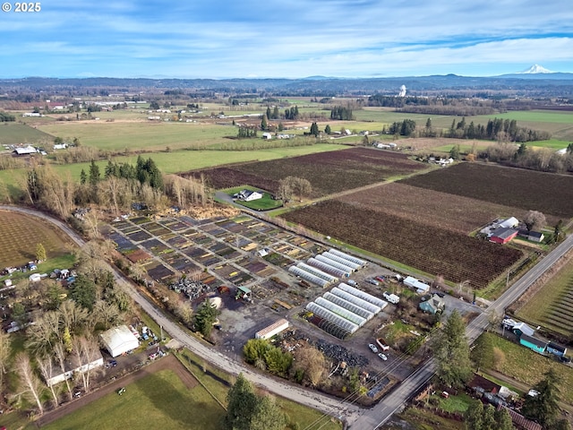 bird's eye view with a mountain view and a rural view