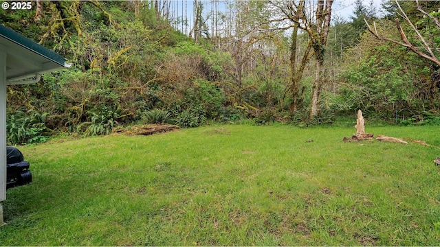 1298 N Tenmile, Lakeside, OR 97449 - view of yard