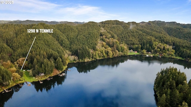 1298 N Tenmile, Lakeside, OR 97449 - bird's eye view featuring a view of trees and a water and mountain view