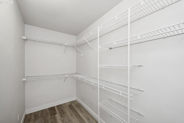 spacious closet featuring wood finished floors