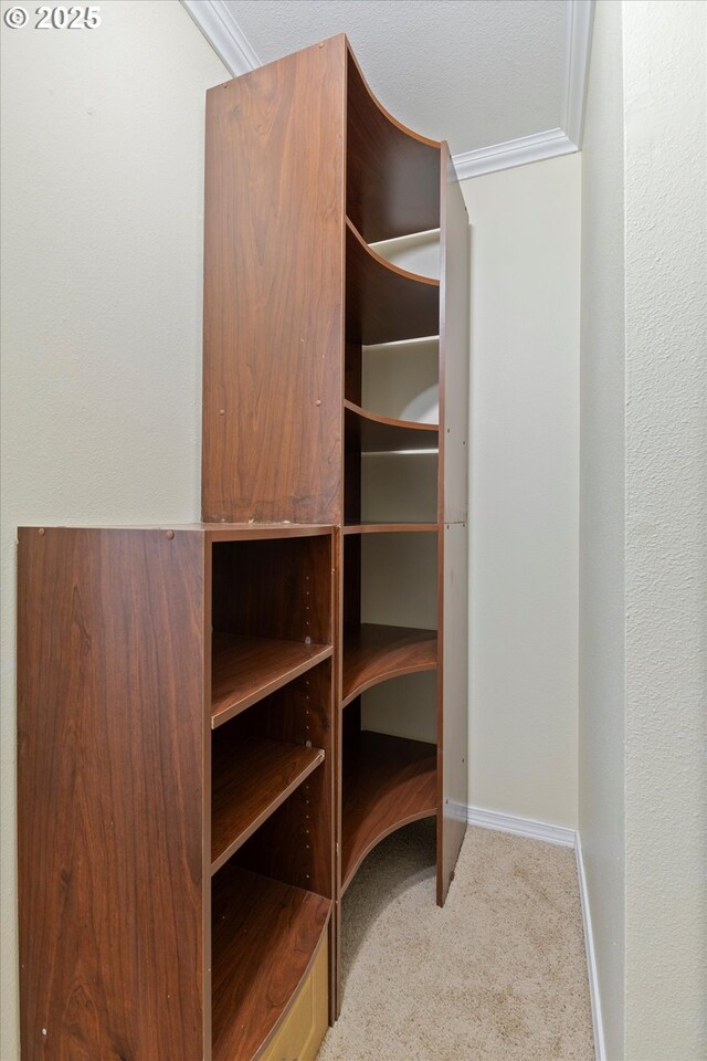spacious closet featuring light carpet