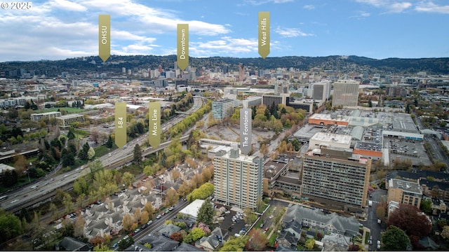 1220 NE 17th Ave Unit 12B, Portland, OR 97232 - city view