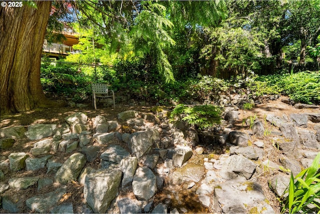 6750 SW Parkwest Ln, Portland, OR 97225 - view of nature
