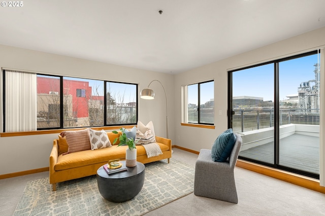 living room with carpet