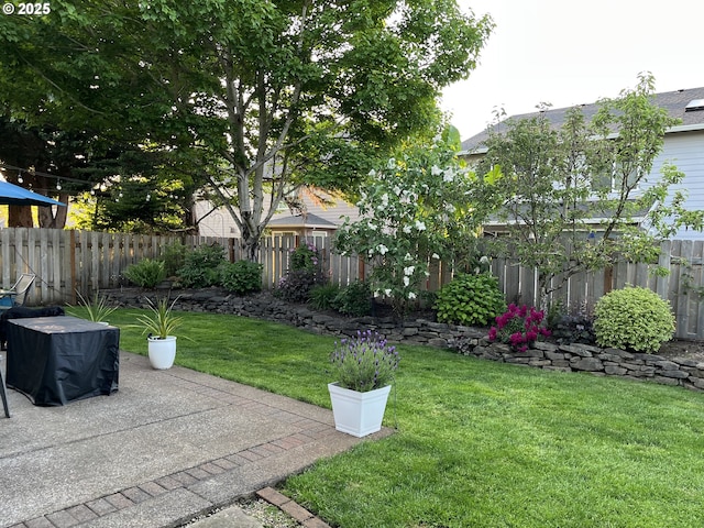 view of yard featuring a patio