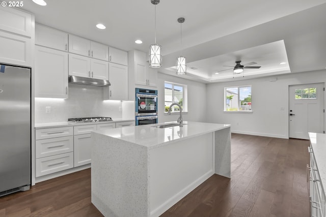 413 S Trade St, Amity, OR 97101 - kitchen featuring stainless steel appliances, a tray ceiling, a sink, recessed lighting, and baseboards