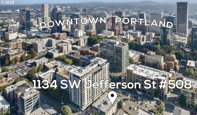 1134 SW Jefferson St Unit 503, Portland, OR 97201 - city view