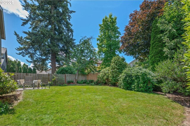 8911 SW 49th Ave, Portland, OR 97219 - view of yard featuring a patio area