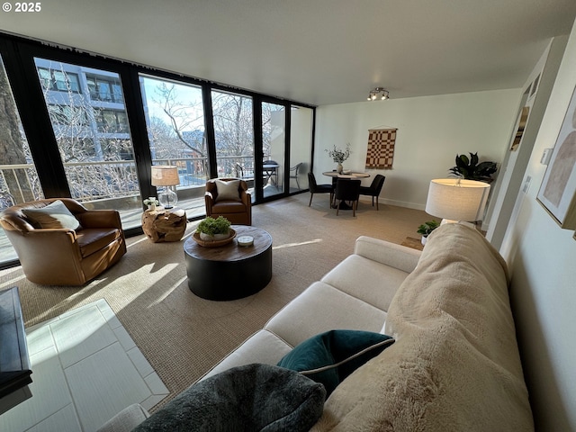 carpeted living area featuring baseboards and expansive windows