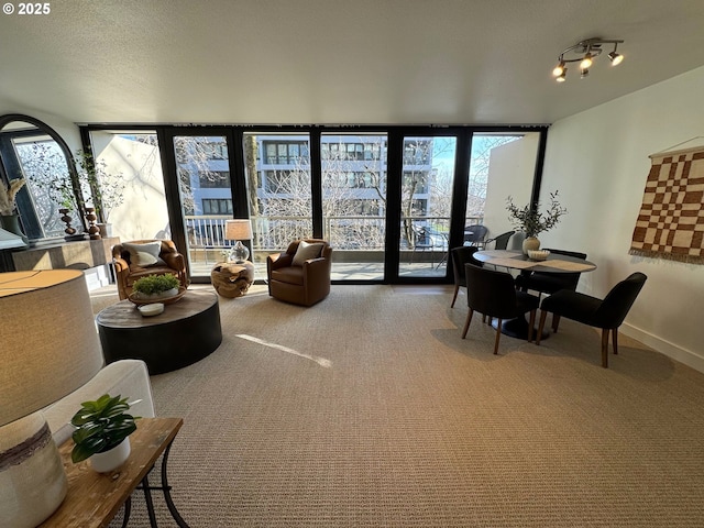 carpeted living room featuring a wall of windows, baseboards, and plenty of natural light