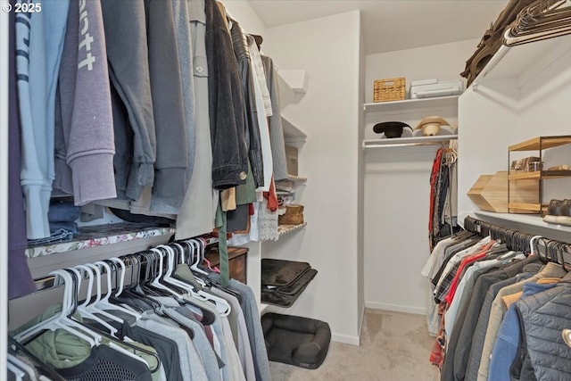 2871 Wing Tip Ave, Salem, OR 97304 - spacious closet with carpet flooring