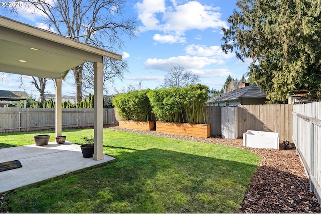 view of yard featuring a patio area and a fenced backyard