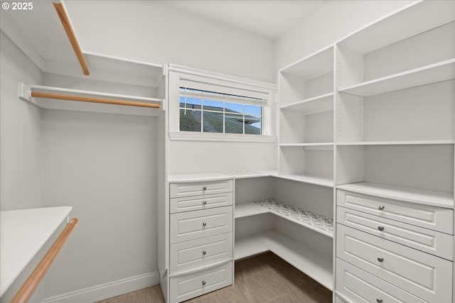 spacious closet with dark wood-type flooring