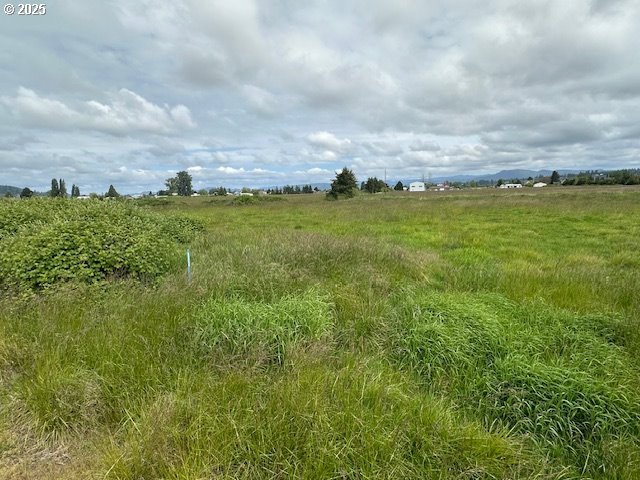 3 Springer St, Cathlamet, WA 98612