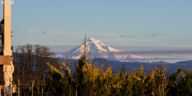 mountain view