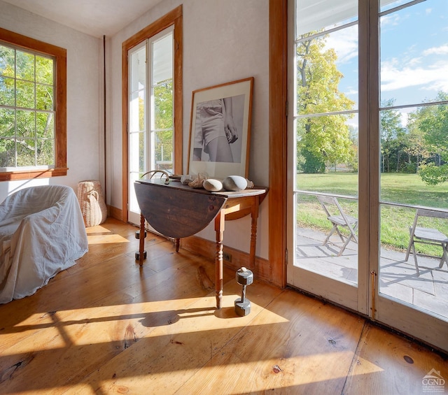 doorway to outside with light hardwood / wood-style floors