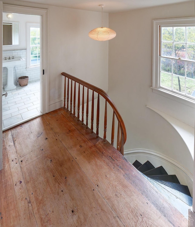 staircase with hardwood / wood-style floors and plenty of natural light