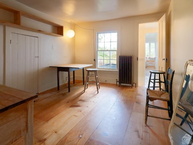 interior space with radiator heating unit and light wood-type flooring