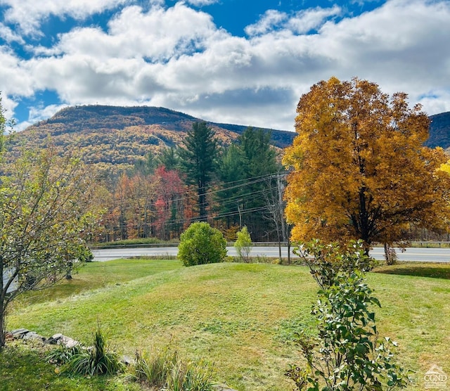 view of mountain feature with a water view