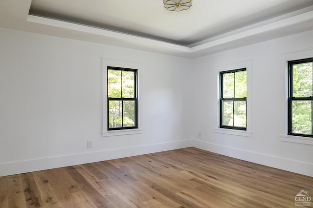 empty room featuring wood-type flooring and a raised ceiling