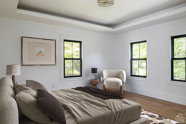 bedroom featuring hardwood / wood-style flooring and a raised ceiling