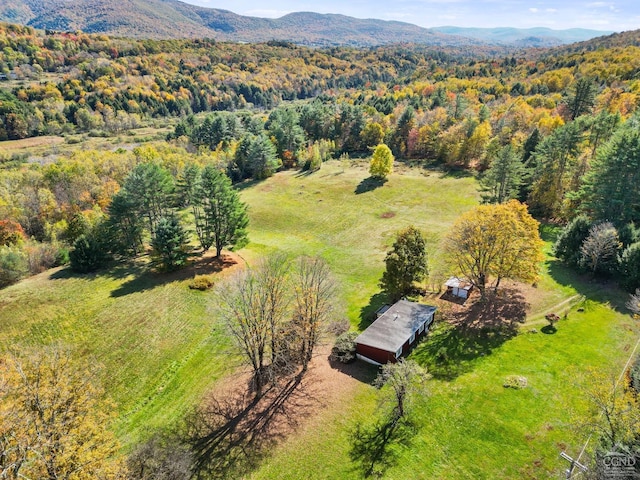 bird's eye view with a mountain view