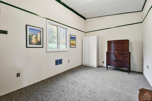 unfurnished room with carpet floors and wooden walls