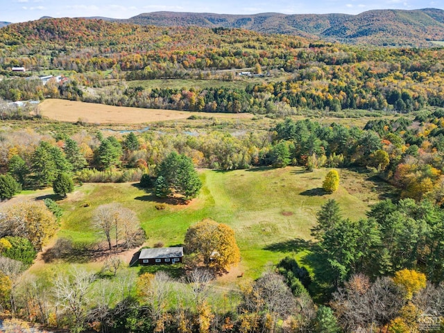 aerial view with a mountain view