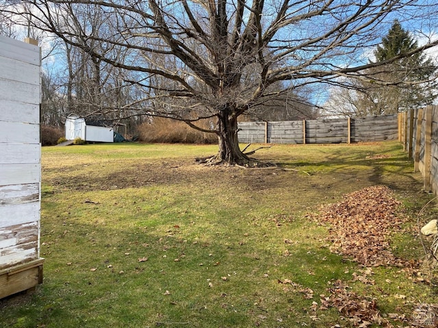 view of yard with a storage unit