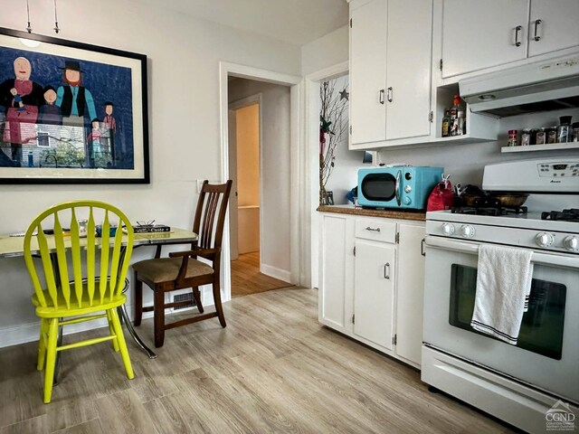 living room featuring a healthy amount of sunlight and light hardwood / wood-style flooring