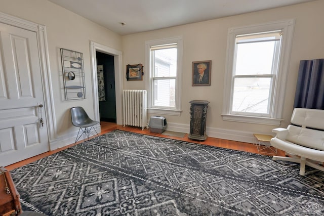 sitting room featuring hardwood / wood-style floors, radiator heating unit, and a wealth of natural light