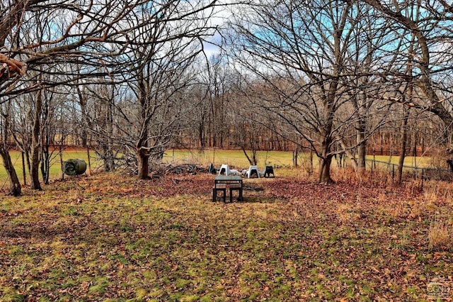 view of yard with a rural view