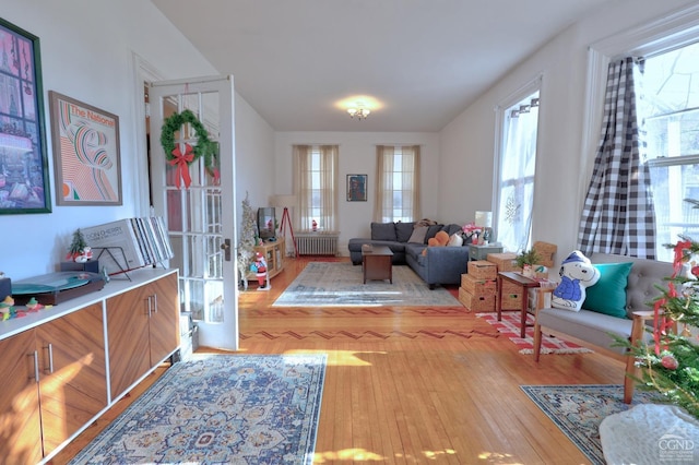 living room with radiator and hardwood / wood-style flooring