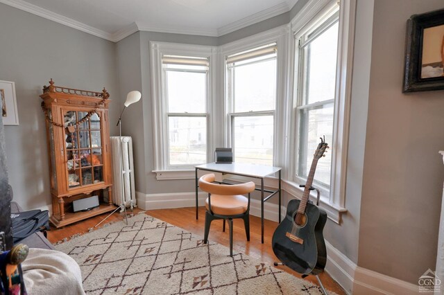 office area with radiator, crown molding, and light hardwood / wood-style flooring