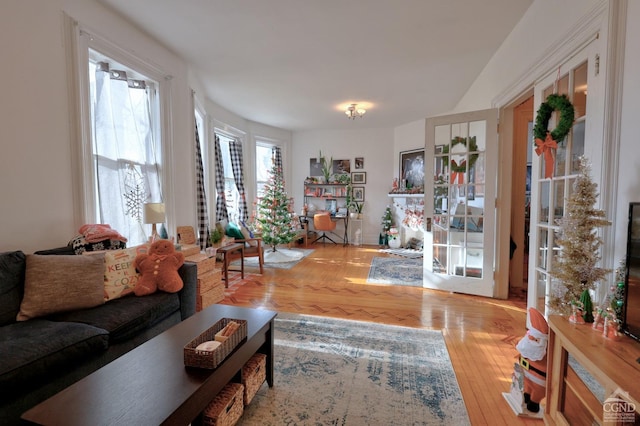 living room with french doors and wood-type flooring