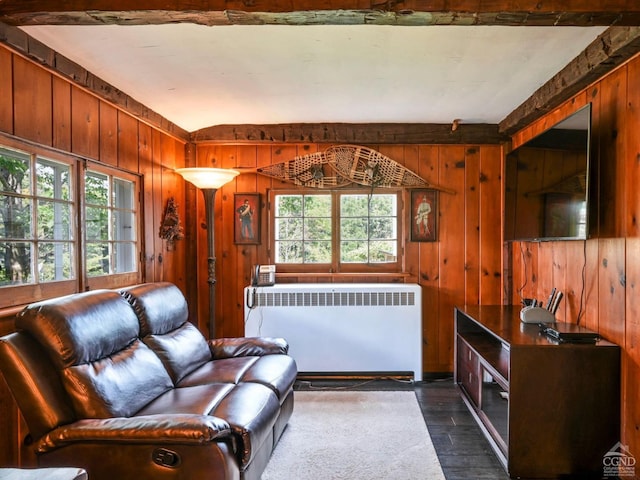 living room with wooden walls, radiator heating unit, and a healthy amount of sunlight