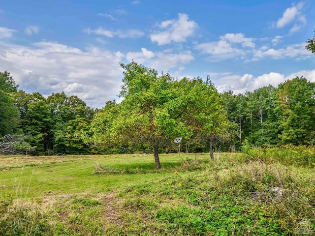 view of yard featuring a view of trees