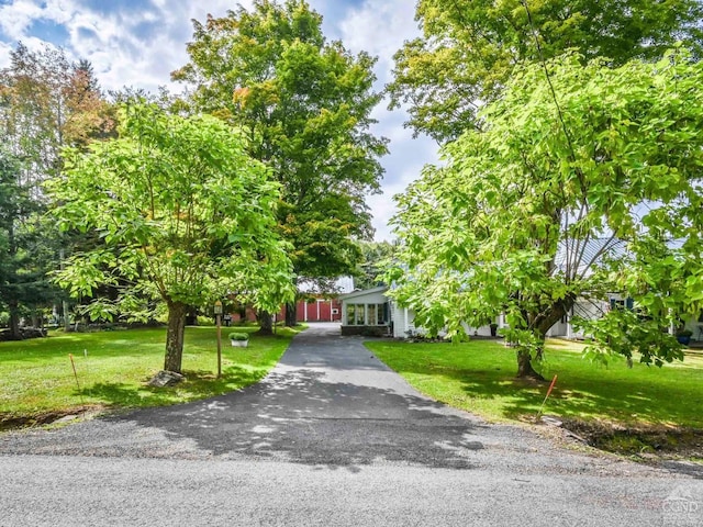 view of property hidden behind natural elements featuring aphalt driveway and a front lawn