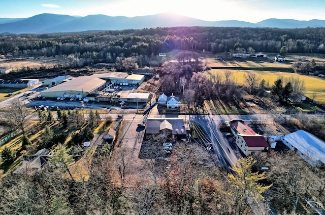 drone / aerial view featuring a mountain view