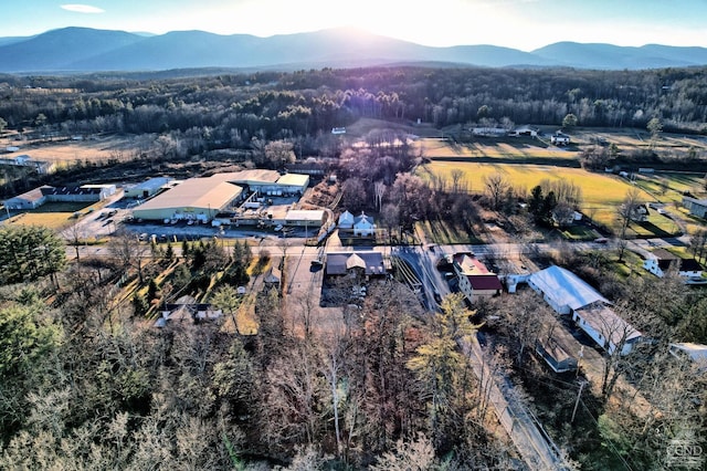 bird's eye view featuring a mountain view