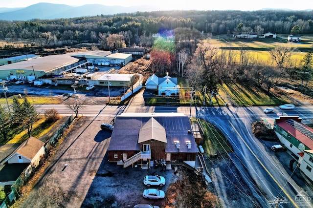 bird's eye view featuring a mountain view