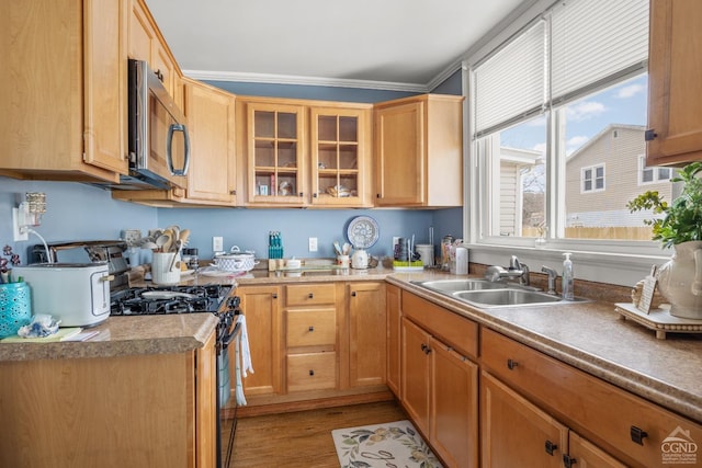 kitchen with glass insert cabinets, ornamental molding, appliances with stainless steel finishes, a sink, and light wood finished floors