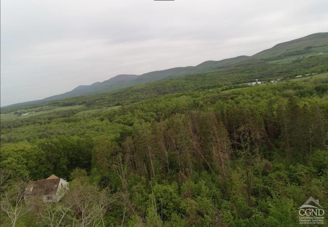 0 Rte 20, Durham NY, 12422 land for sale