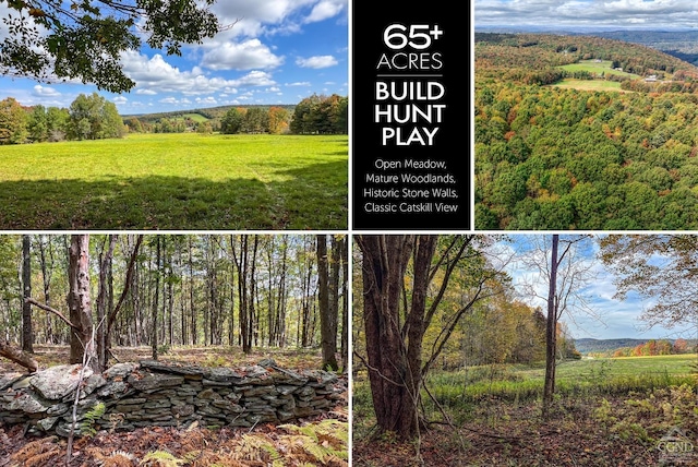 2359 Jackson Hill Rd, Treadwell NY, 13846 land for sale